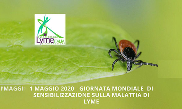 Giornata Mondiale della malattia di Lyme
